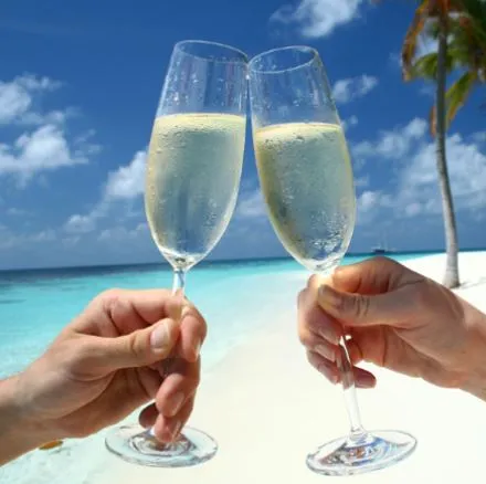 Deux personnes trinquant au champagne sur une plage du Panama