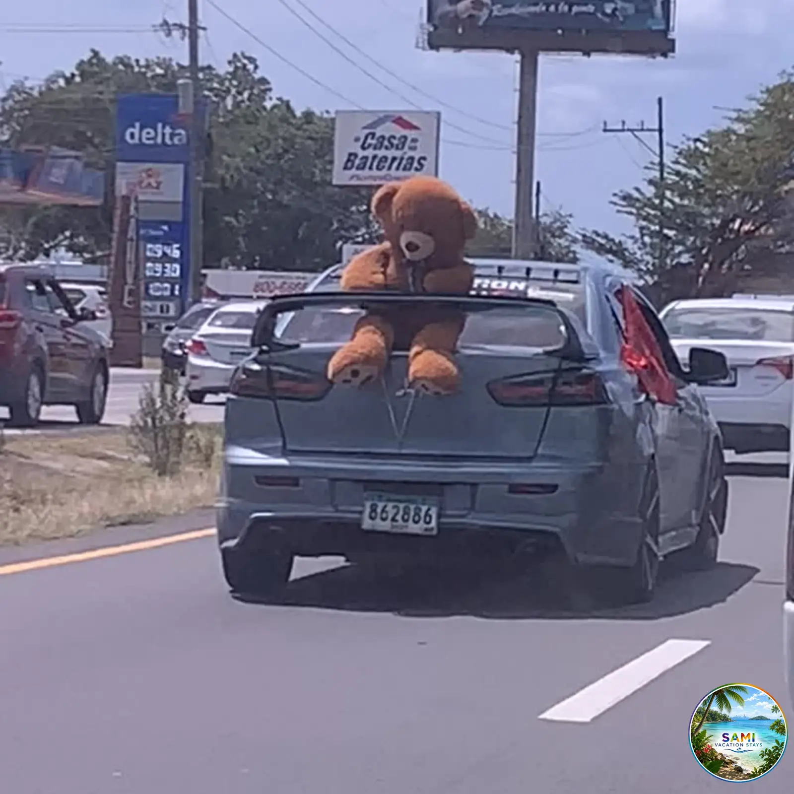 Coche transportando un oso de peluche gigante en una carretera de Panamá